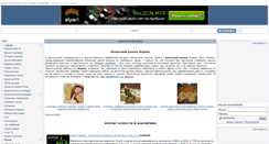 Desktop Screenshot of ekbforex.ru